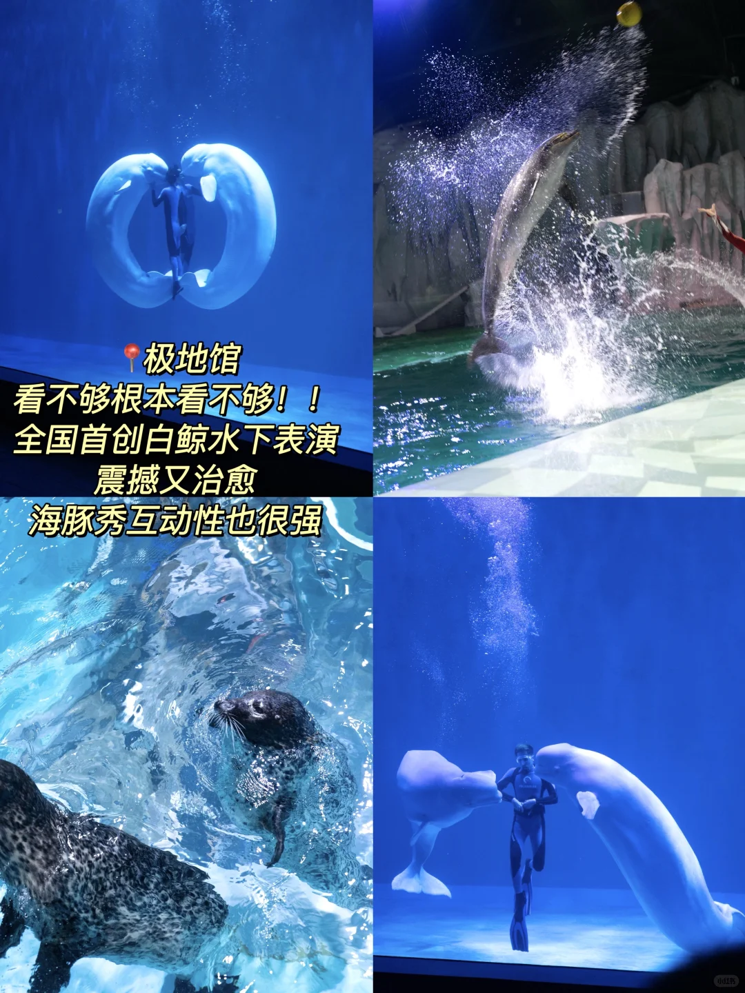 淡季哈尔滨📍旅游攻略(体验感拉满💕