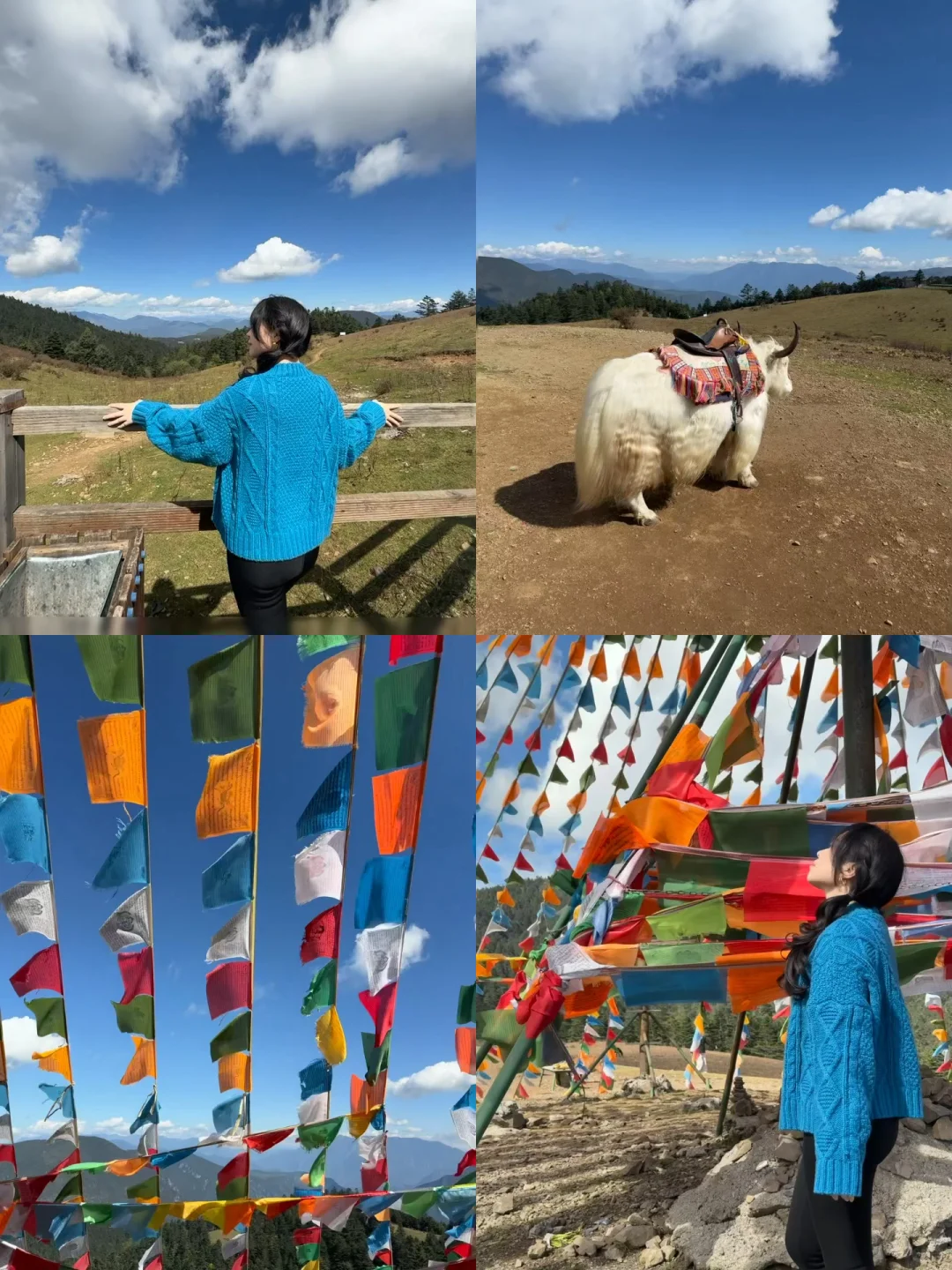 云南已回📍对老公做的旅行攻略满意到睡不着