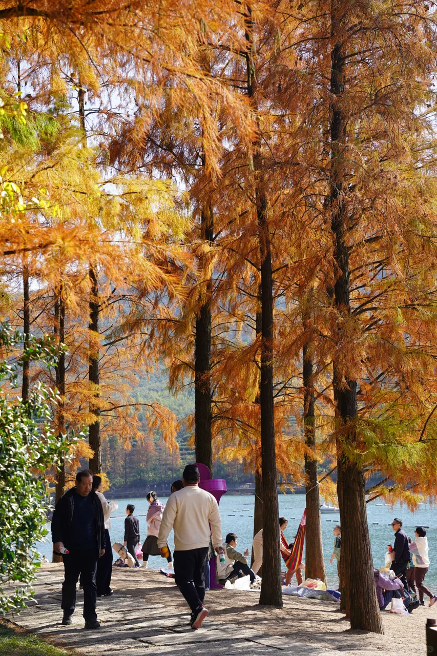 金华山踏秋全攻略🍂｜闯入“一山仙境”