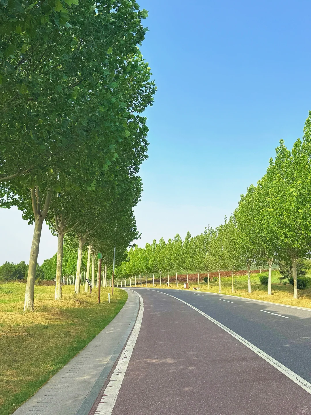 邯郸-九龙山矿质修复公园最适合运动的地方