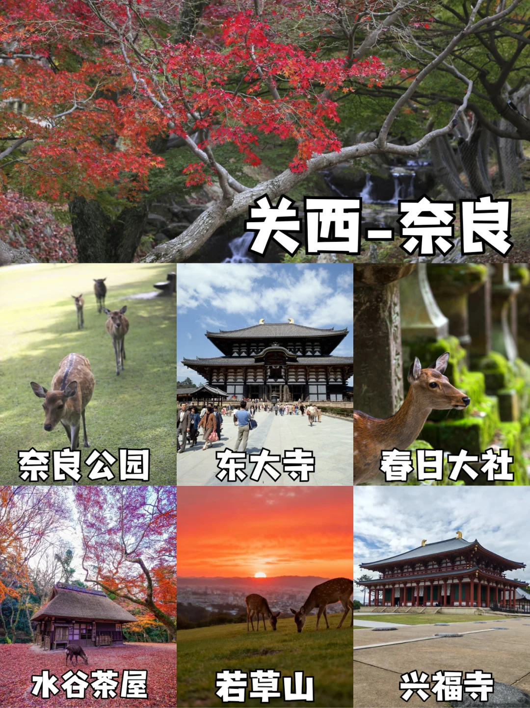 第一次去日本👘 关东VS关西怎么选?