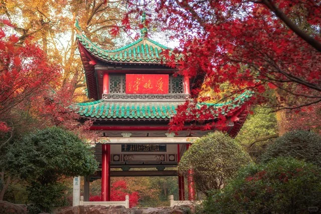 金秋时节长沙三日游必玩景点