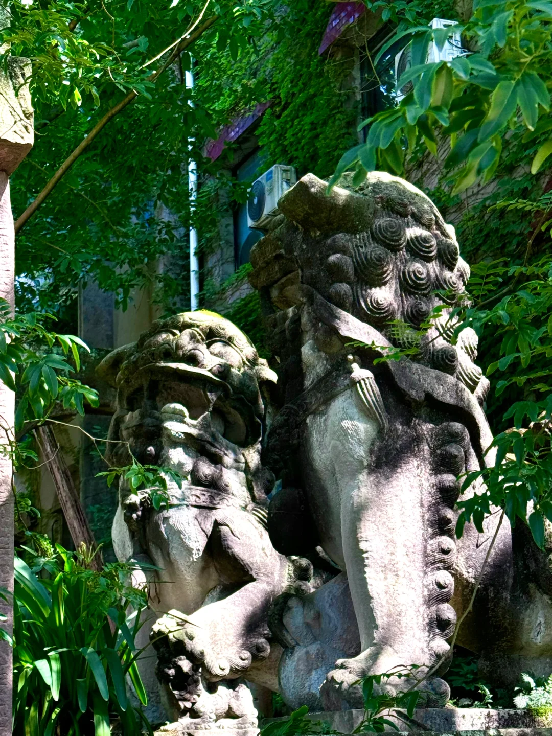 我很少用震撼来形容一个地方!😭