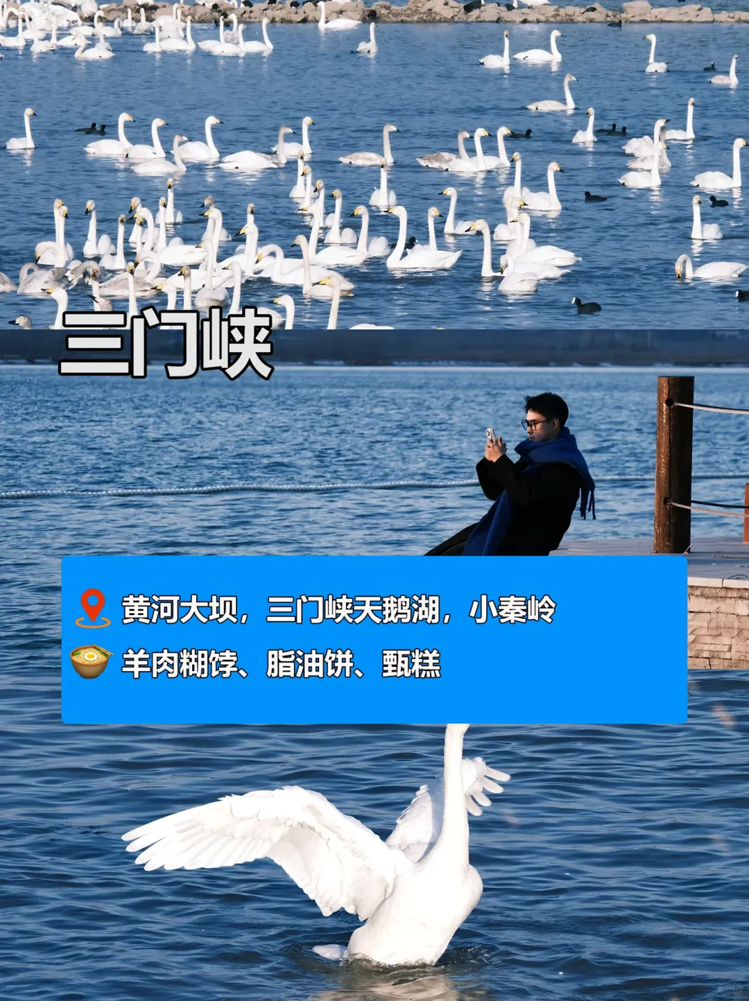 8 个宝藏城市🎯 周末出游绝不重样!