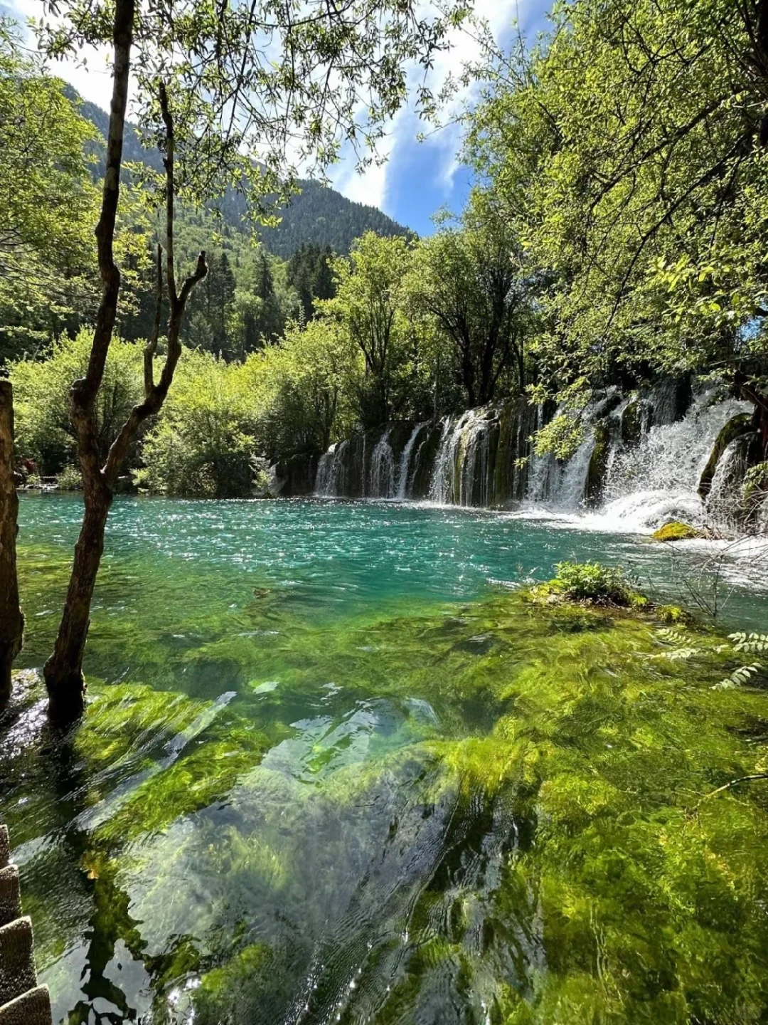 6.3📍九寨沟已回…一篇讲清楚九寨沟怎么避坑