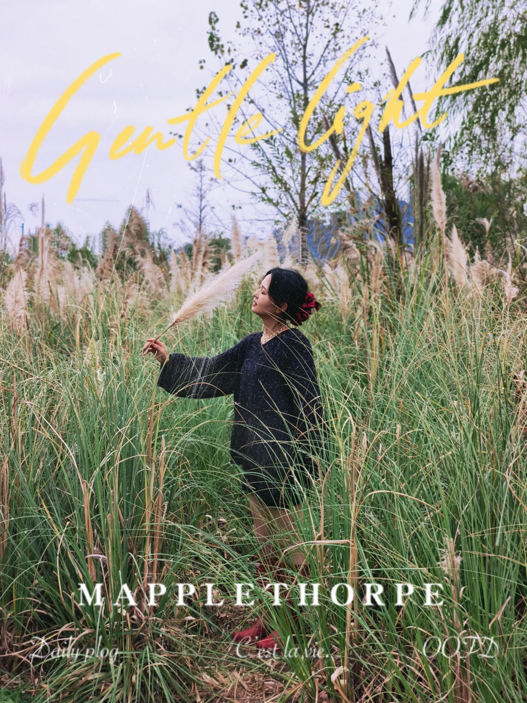 杭州‖水中森林,小仙女们必打卡