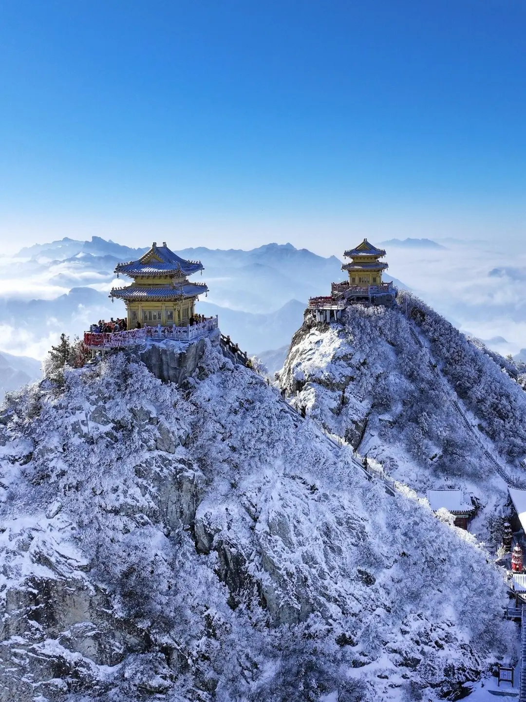 我大概是疯了❄️冬天去古城洛阳!但真的很美