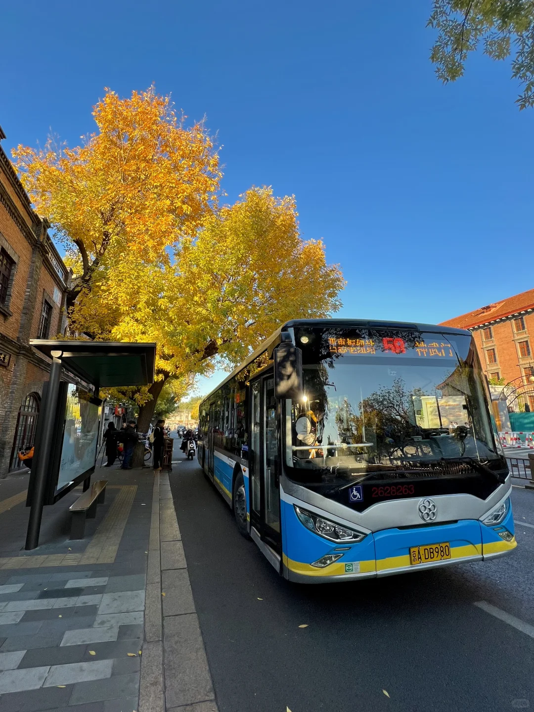 10.21live图｜北平的秋天，我替你看了‼️