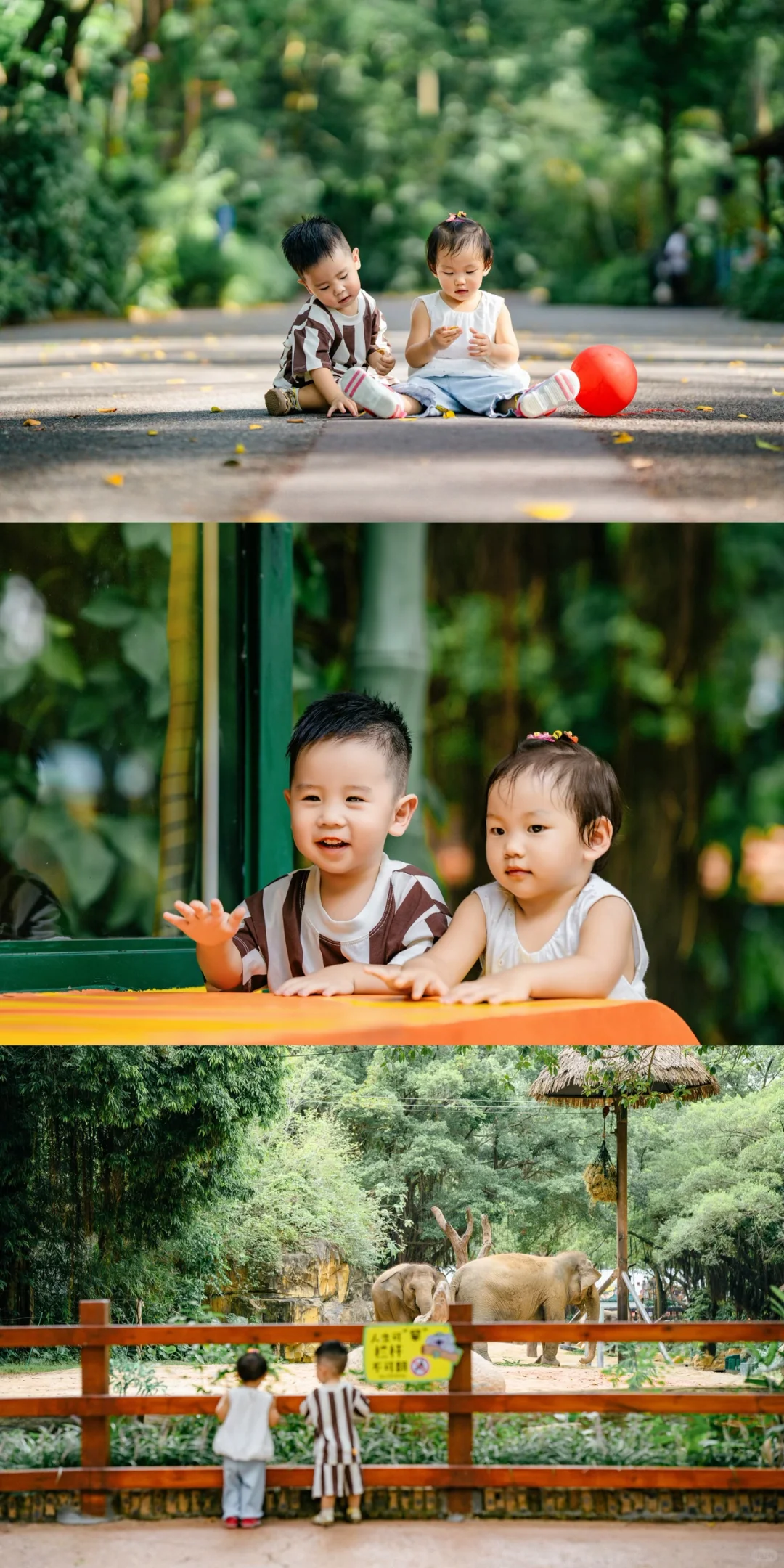 是谁带宝宝去长隆拍到了好看的照片📷