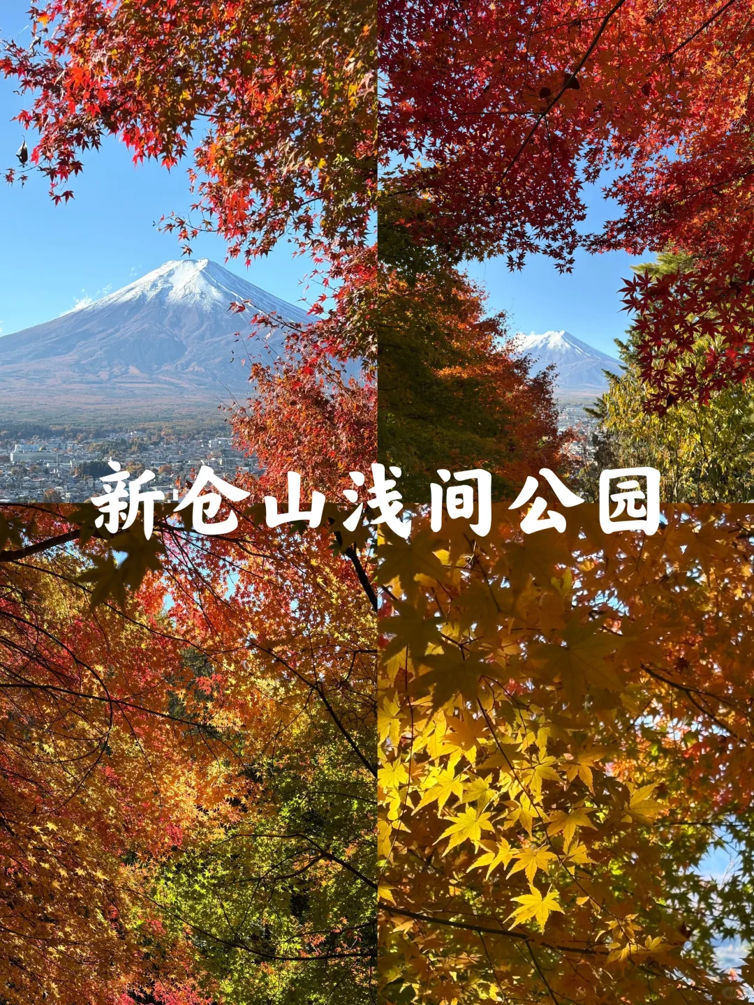 富士山|秋季十大必打卡景点
