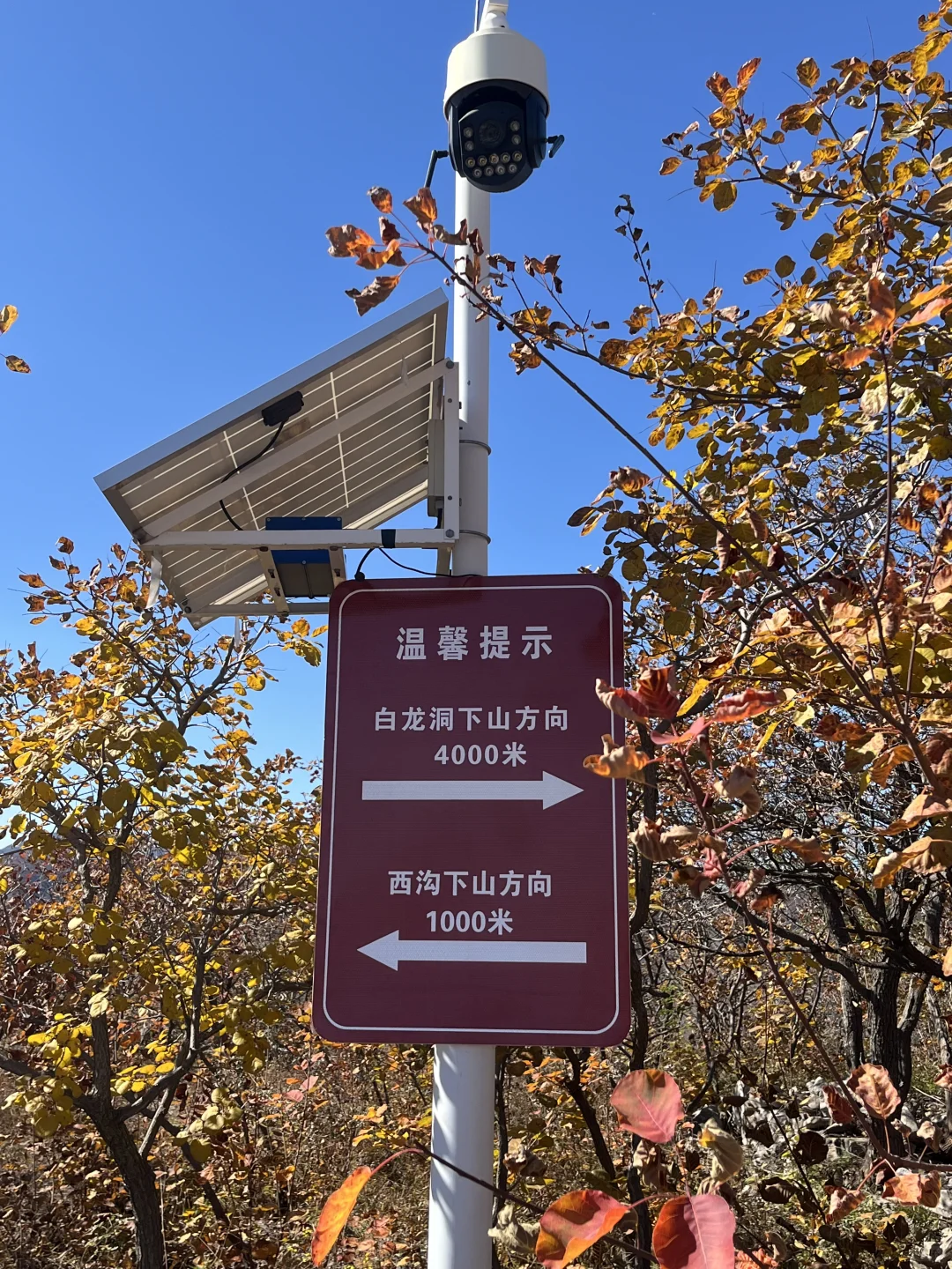 秋天一定要去沙河佛照山!!!🍁