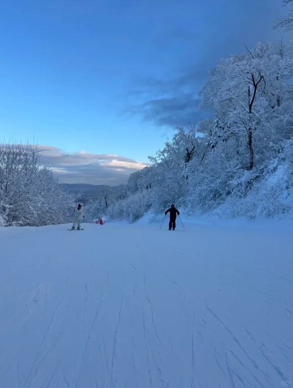 哈尔滨旅游攻略✅9大景点纯玩包车游