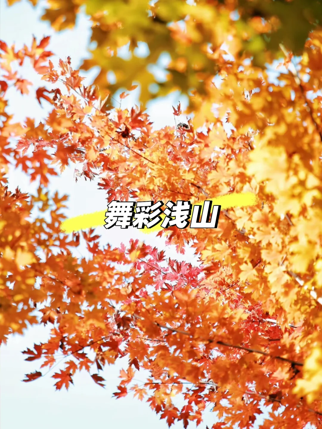 11月初北京必逛的citywalk和赏秋路线❗️❗️