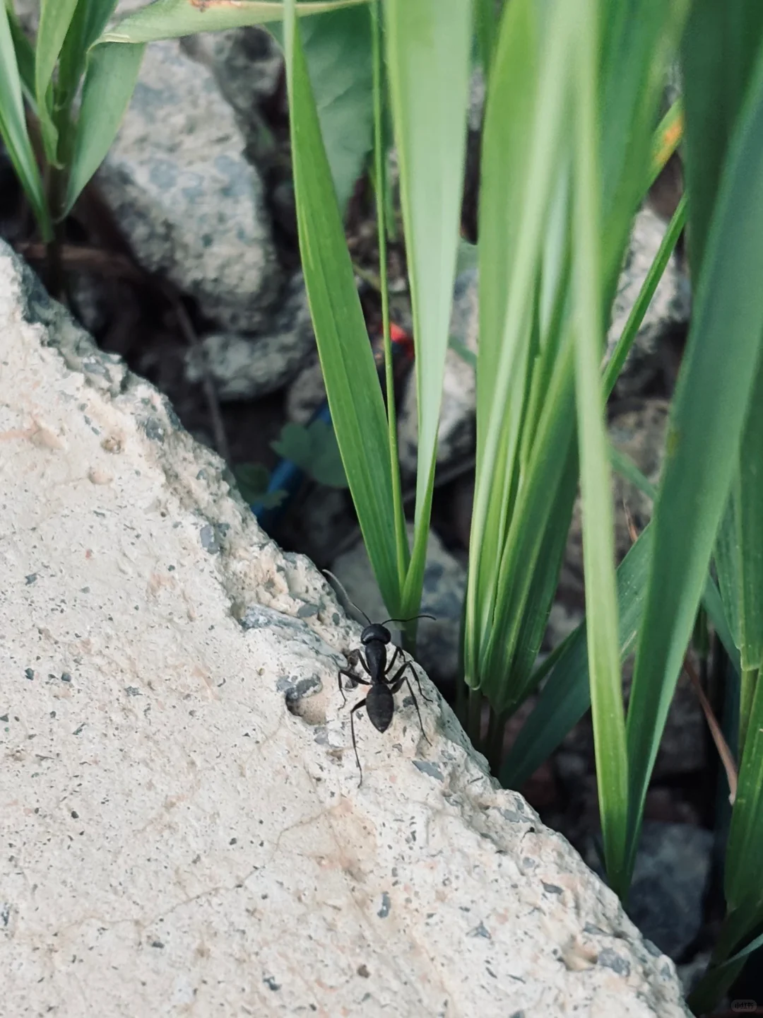 🥰河北阿勒泰|邯郸周边游|走马槽🚗