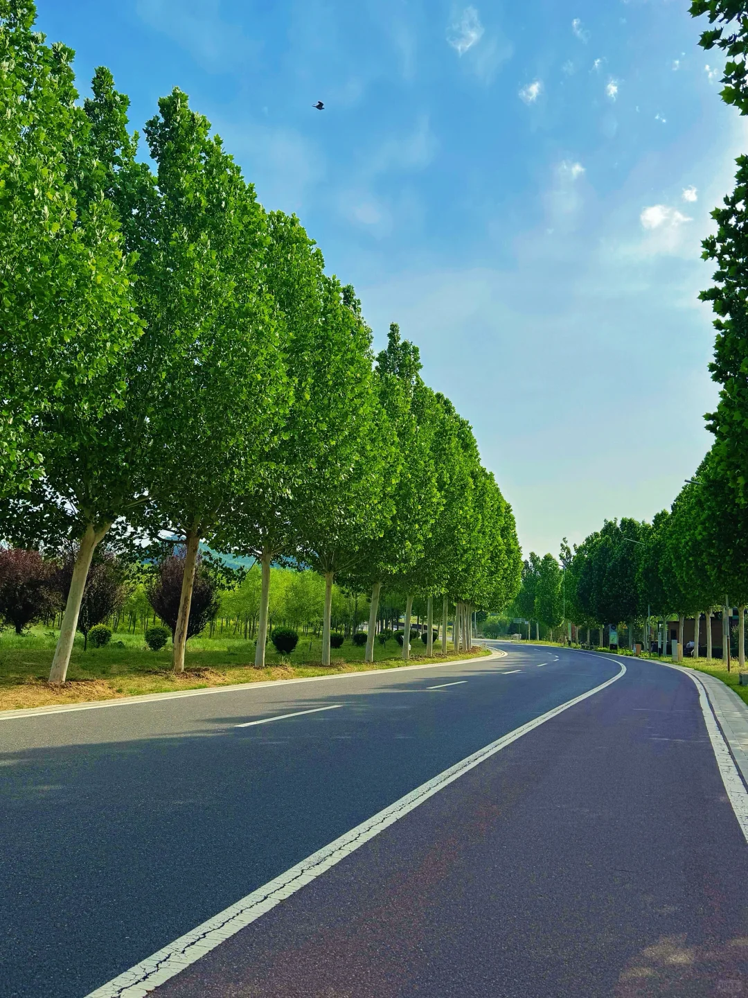 邯郸-九龙山矿质修复公园最适合运动的地方