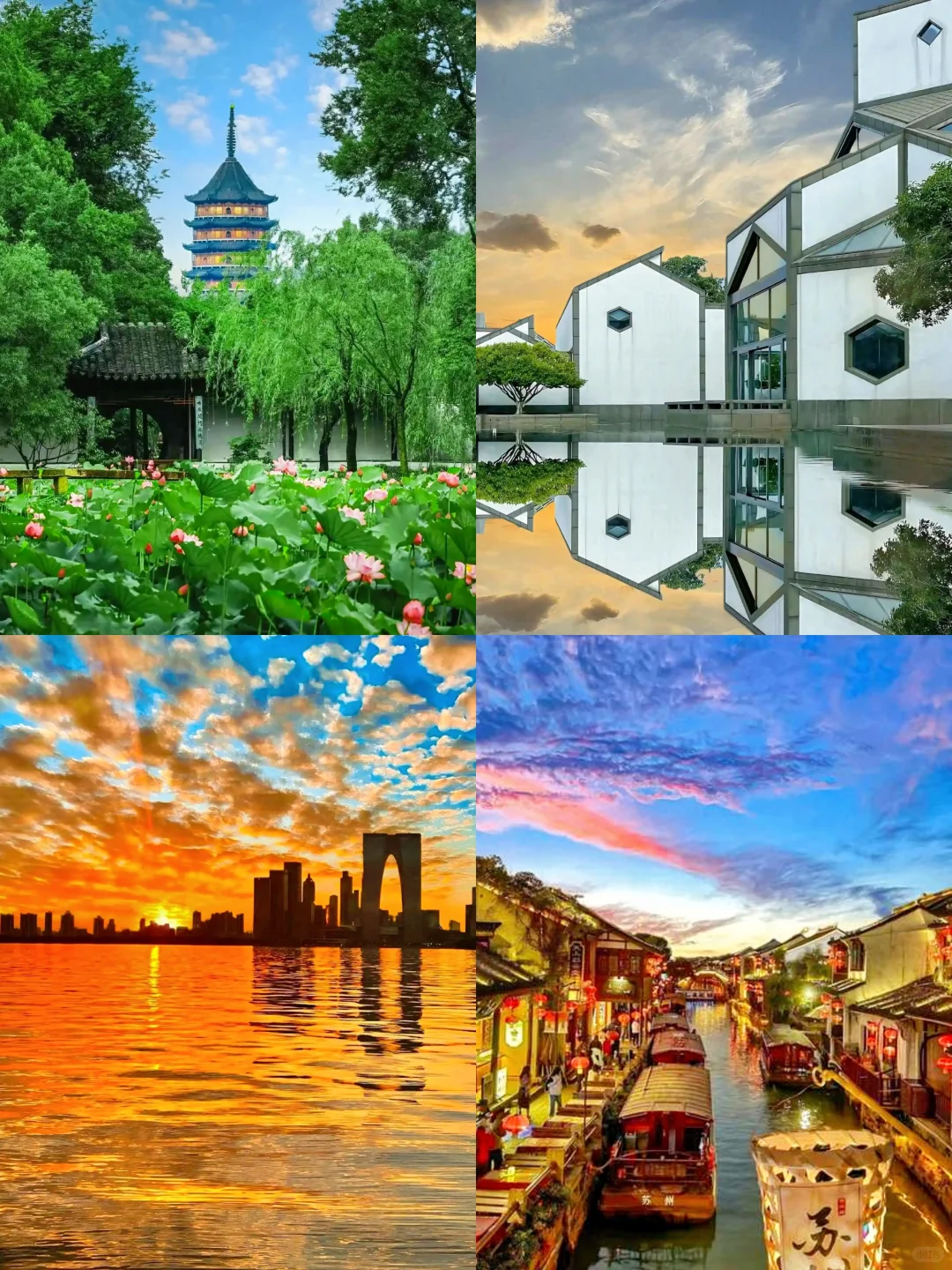 苏州攻略|实用党必看✨!