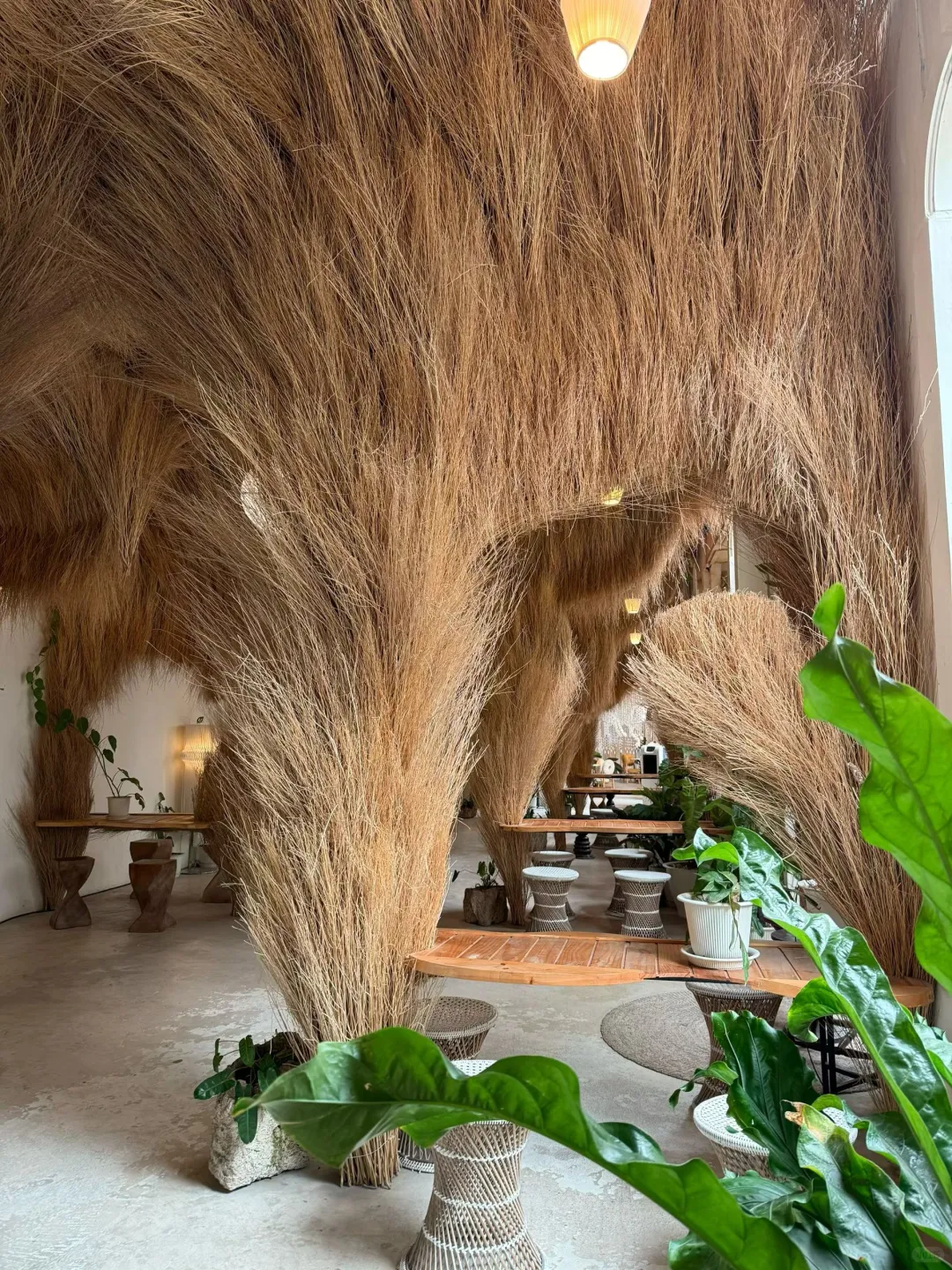 被泰国美哭了，这简直就是童话世界