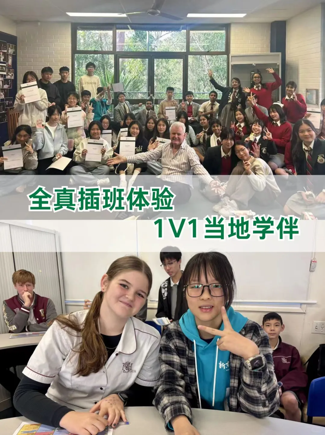 2026澳新游学清单🐨南半球反季节出行攻略