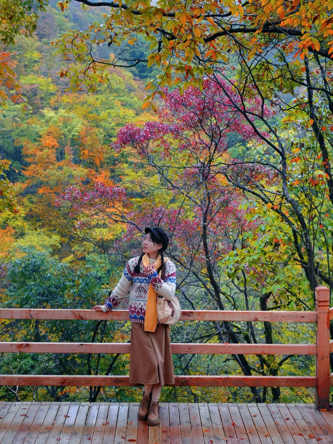 被《国家地理》安利的红叶第一山有多绝❗️