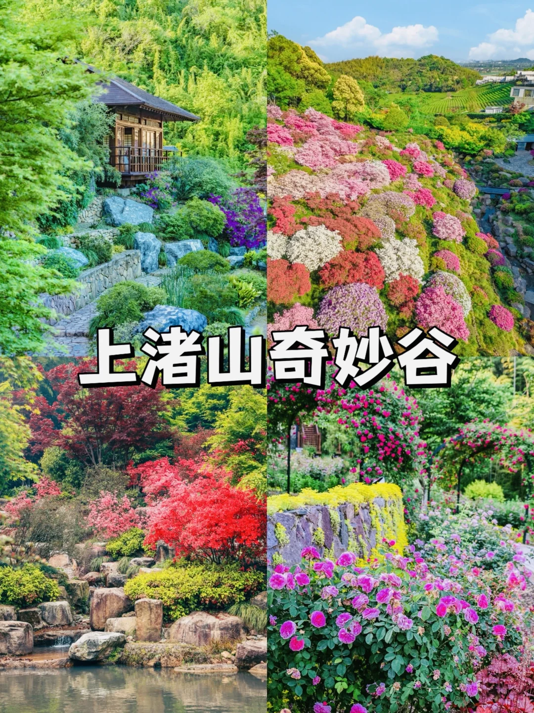 德清必打卡的九个景点!超全攻略✅