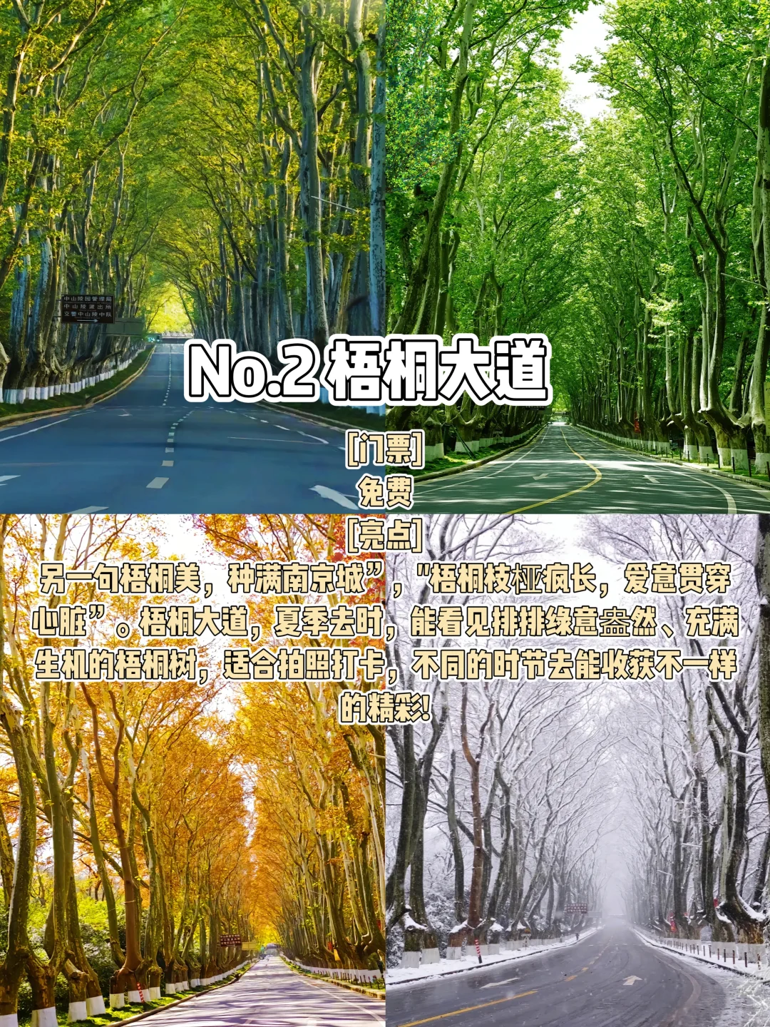 📍南京 | 金陵故都,六朝旧梦