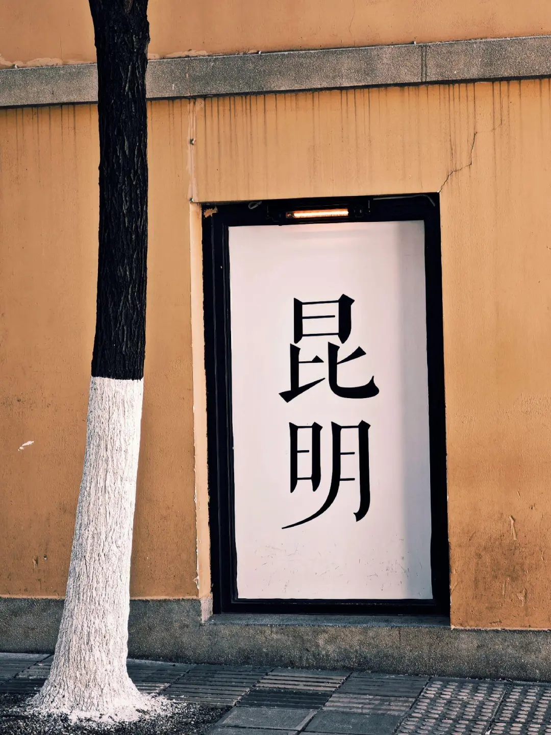 带父母来云南玩✅8天7晚探金秋🍂人均1k+