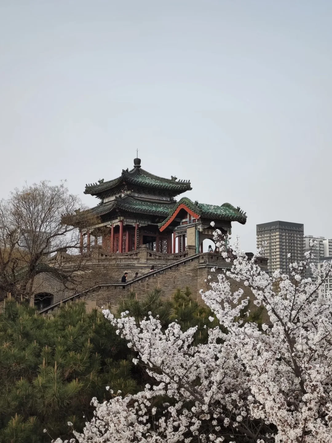 ✨邯郸必打卡 | 丛台公园,千年古韵的城市明