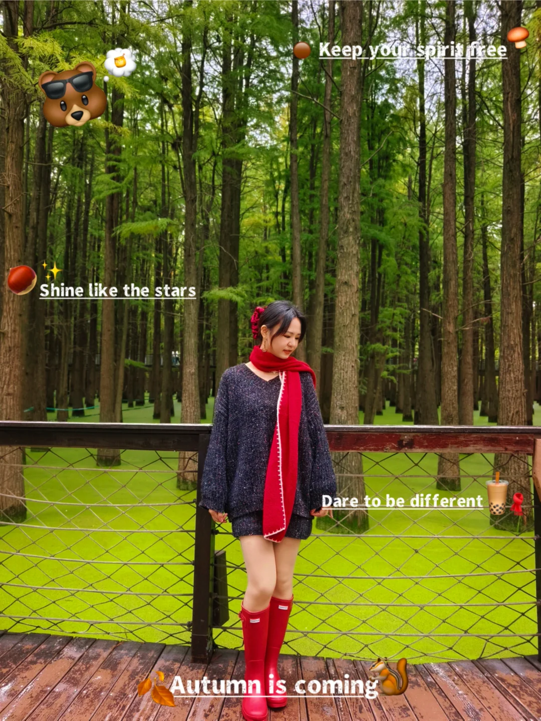 杭州‖水中森林,小仙女们必打卡