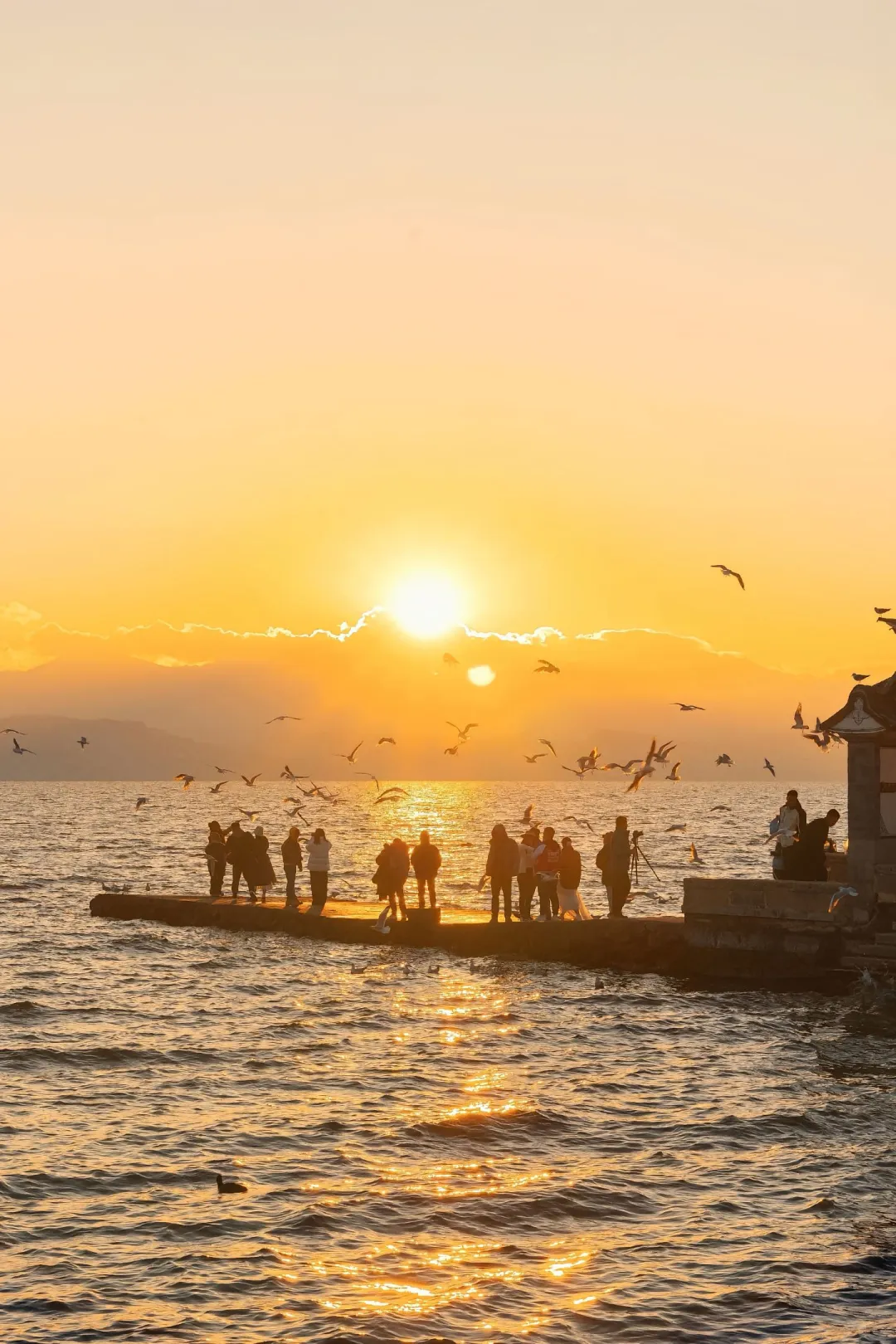 带父母来云南玩✅8天7晚探金秋🍂人均1k+