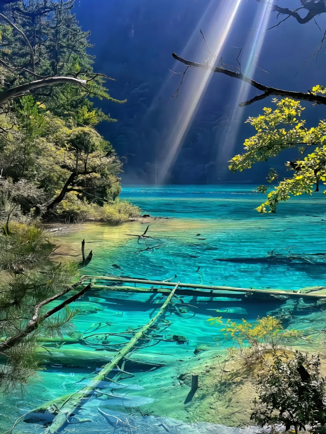 6.3📍九寨沟已回…一篇讲清楚九寨沟怎么避坑