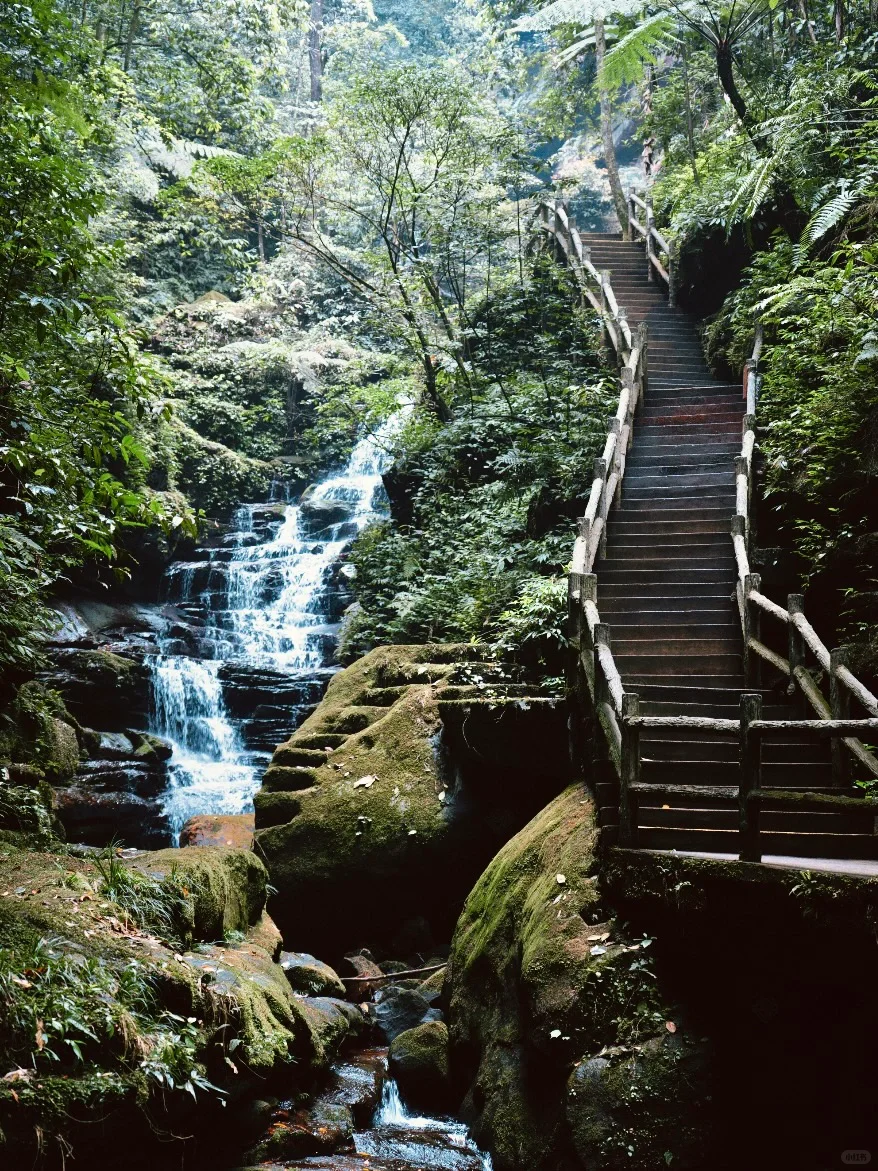 《国家地理》没骗我!真的是被低估的宝藏小城