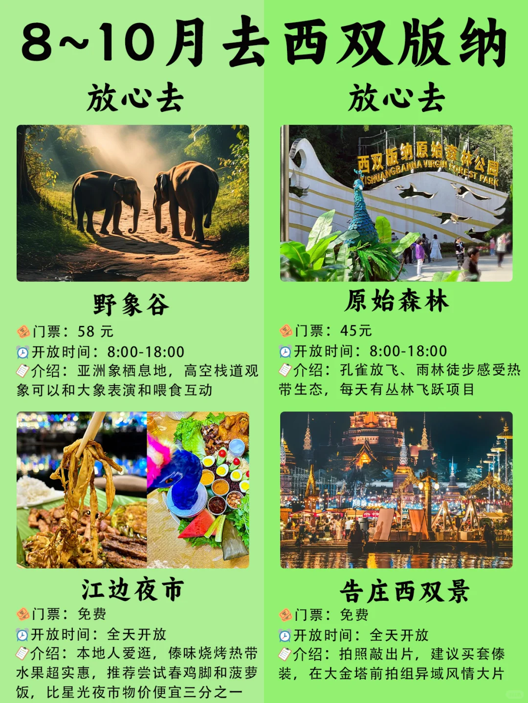 🌴8~10月版纳bi打卡景点🔥热带风情拉满