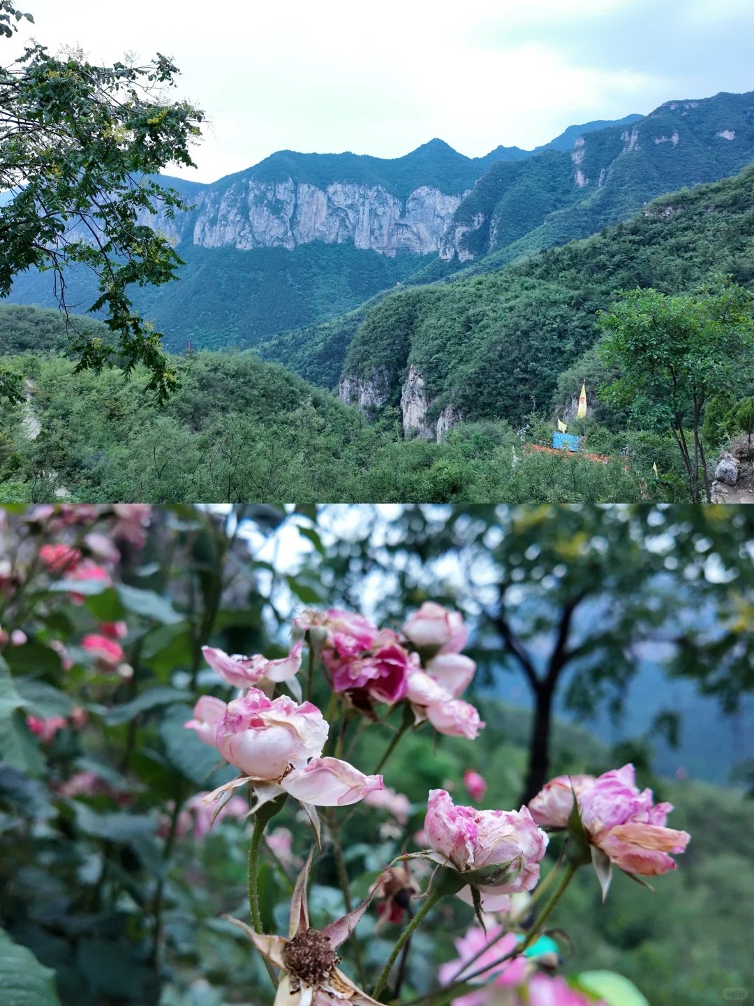 爬断腿也要看的涉县曲里千佛洞石窟