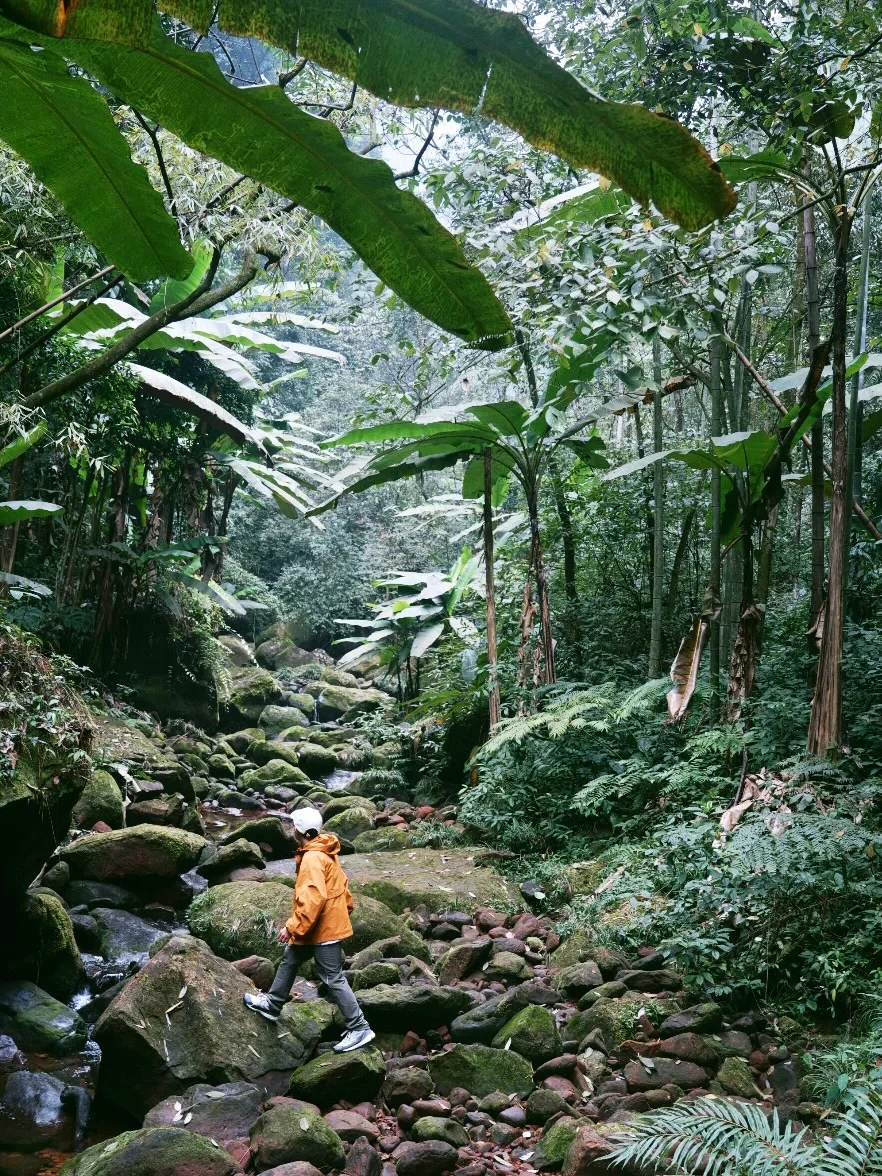 《国家地理》没骗我!真的是被低估的宝藏小城