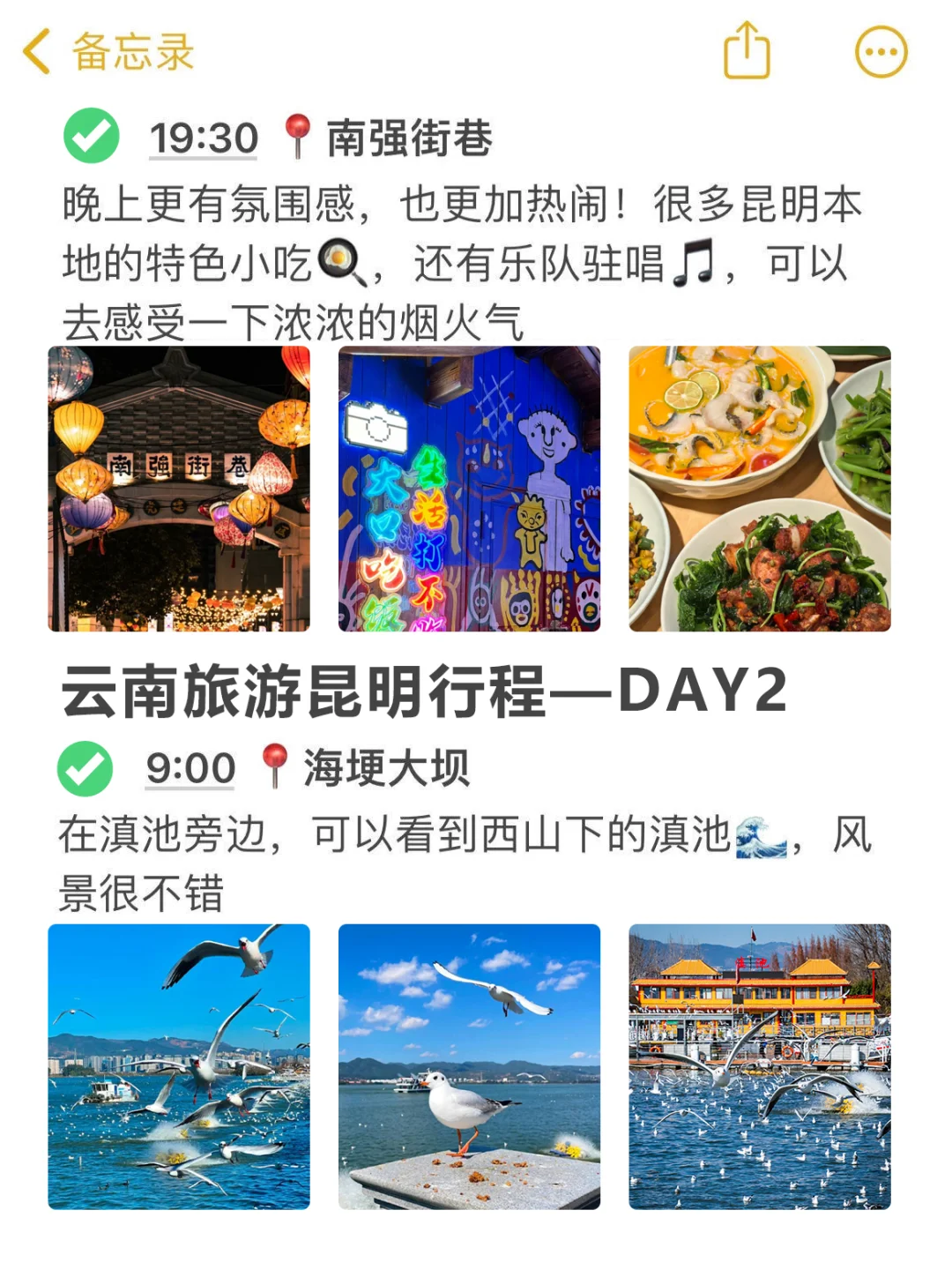 10.26📍云南已回11~12月来昆明玩的✨听劝