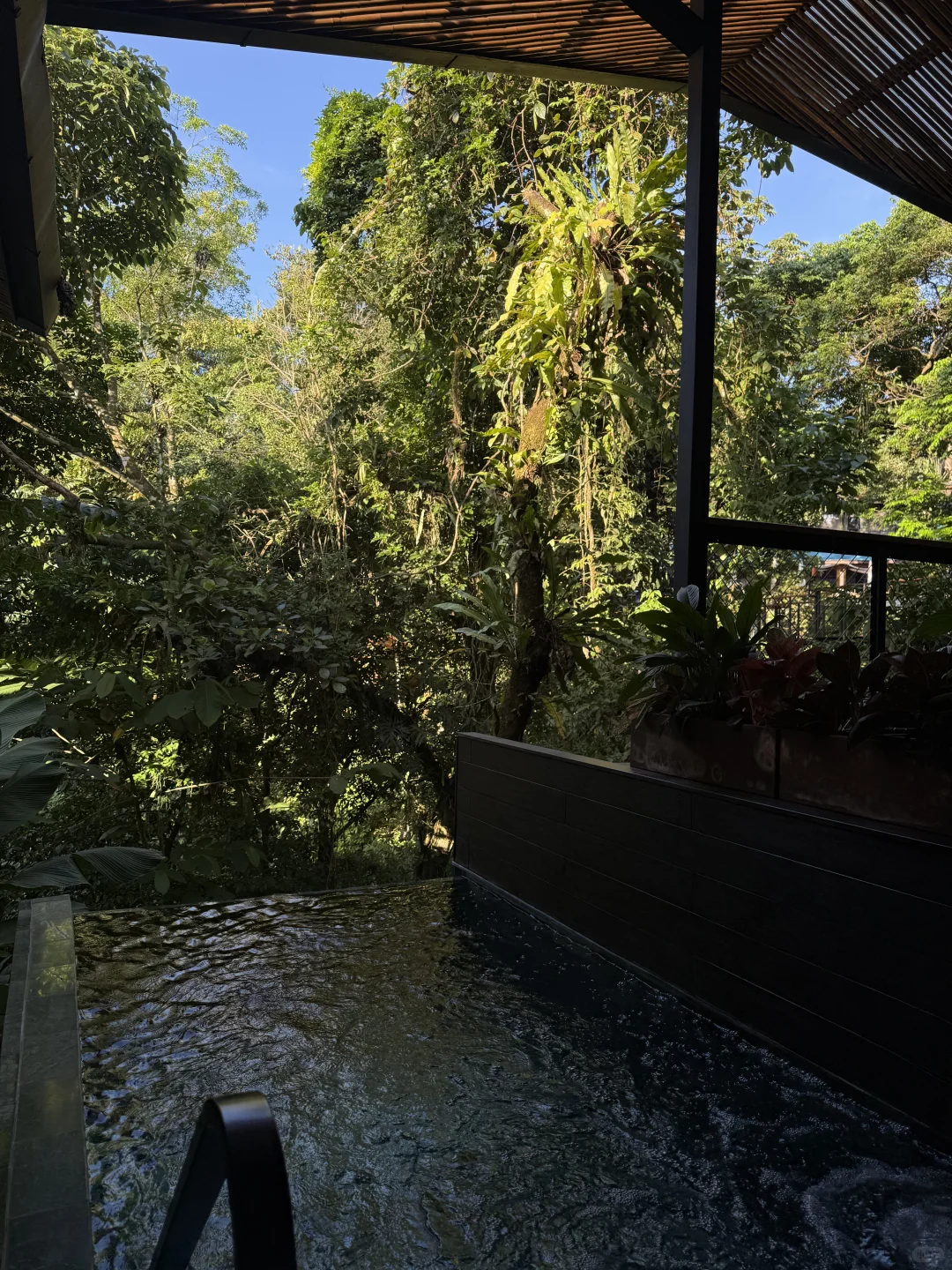 哥斯达黎加🇨🇷|最全旅游攻略(上)