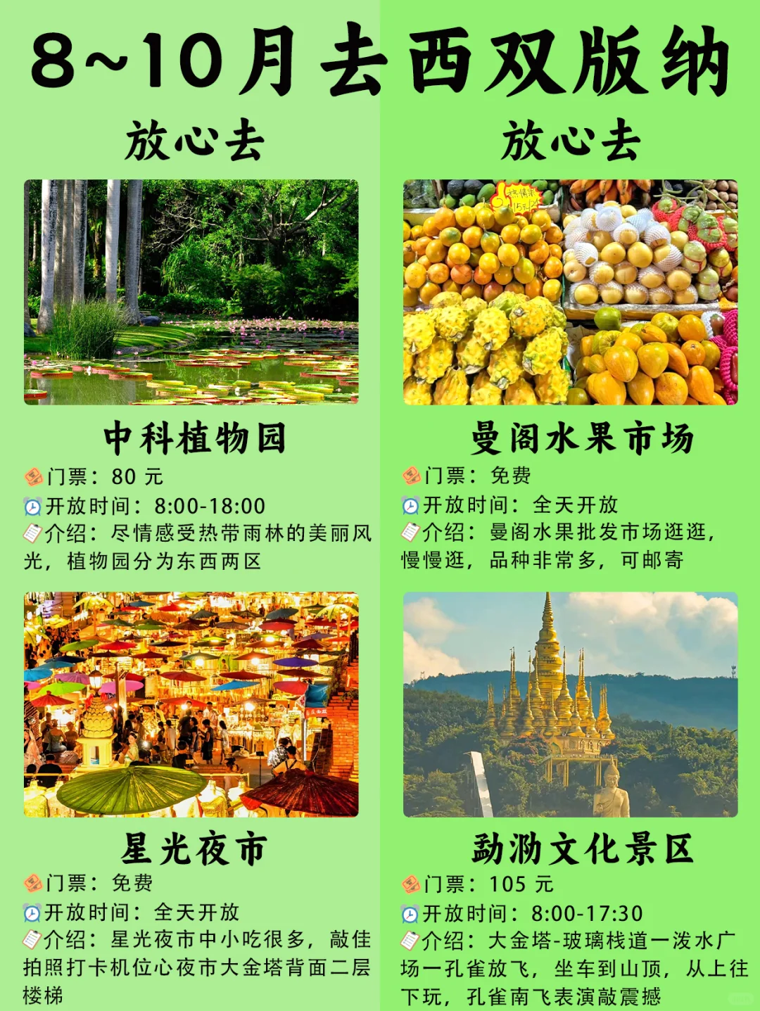 🌴8~10月版纳bi打卡景点🔥热带风情拉满