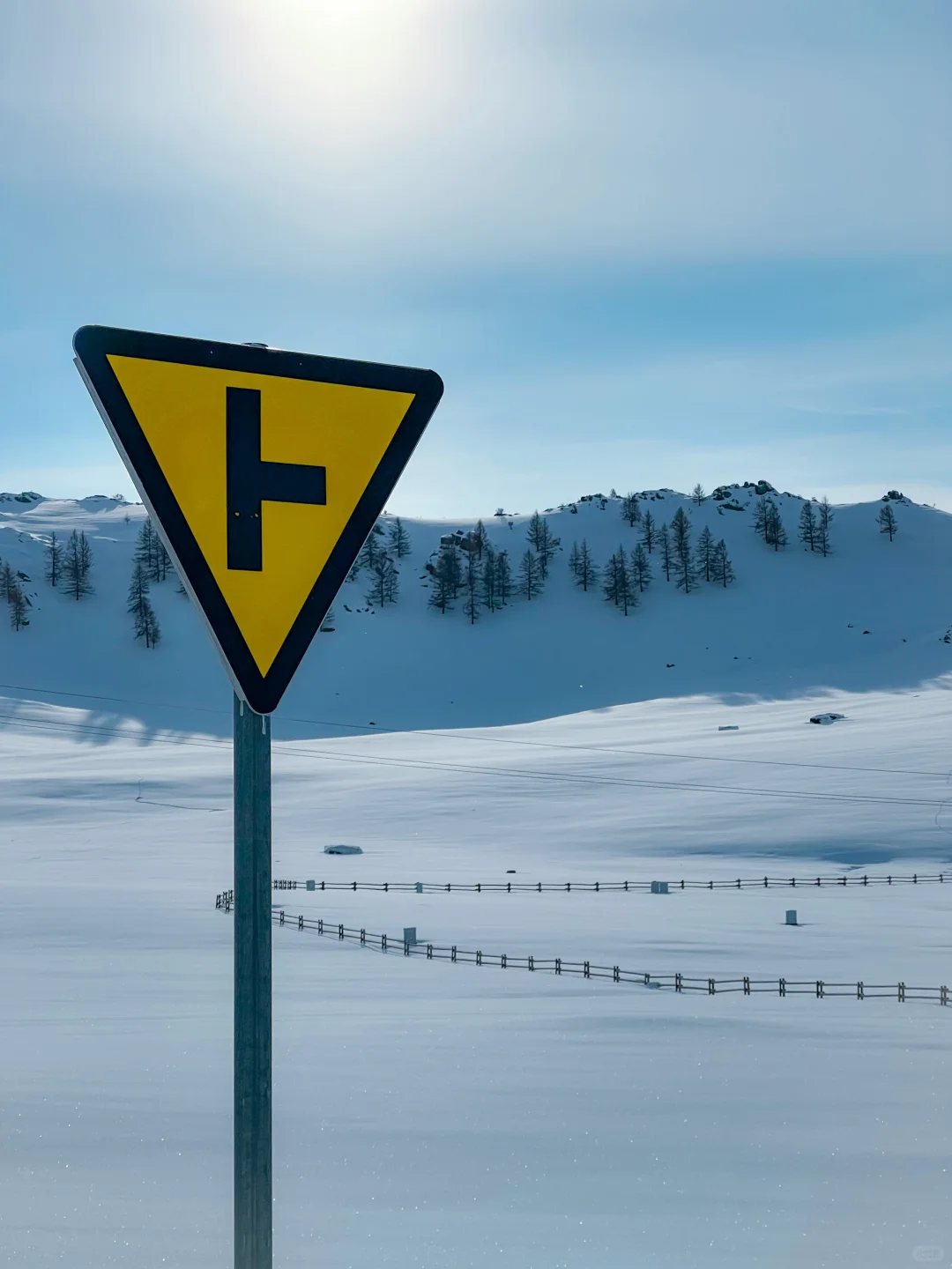 今年冲禾木喀纳斯,选对团直接赢麻!