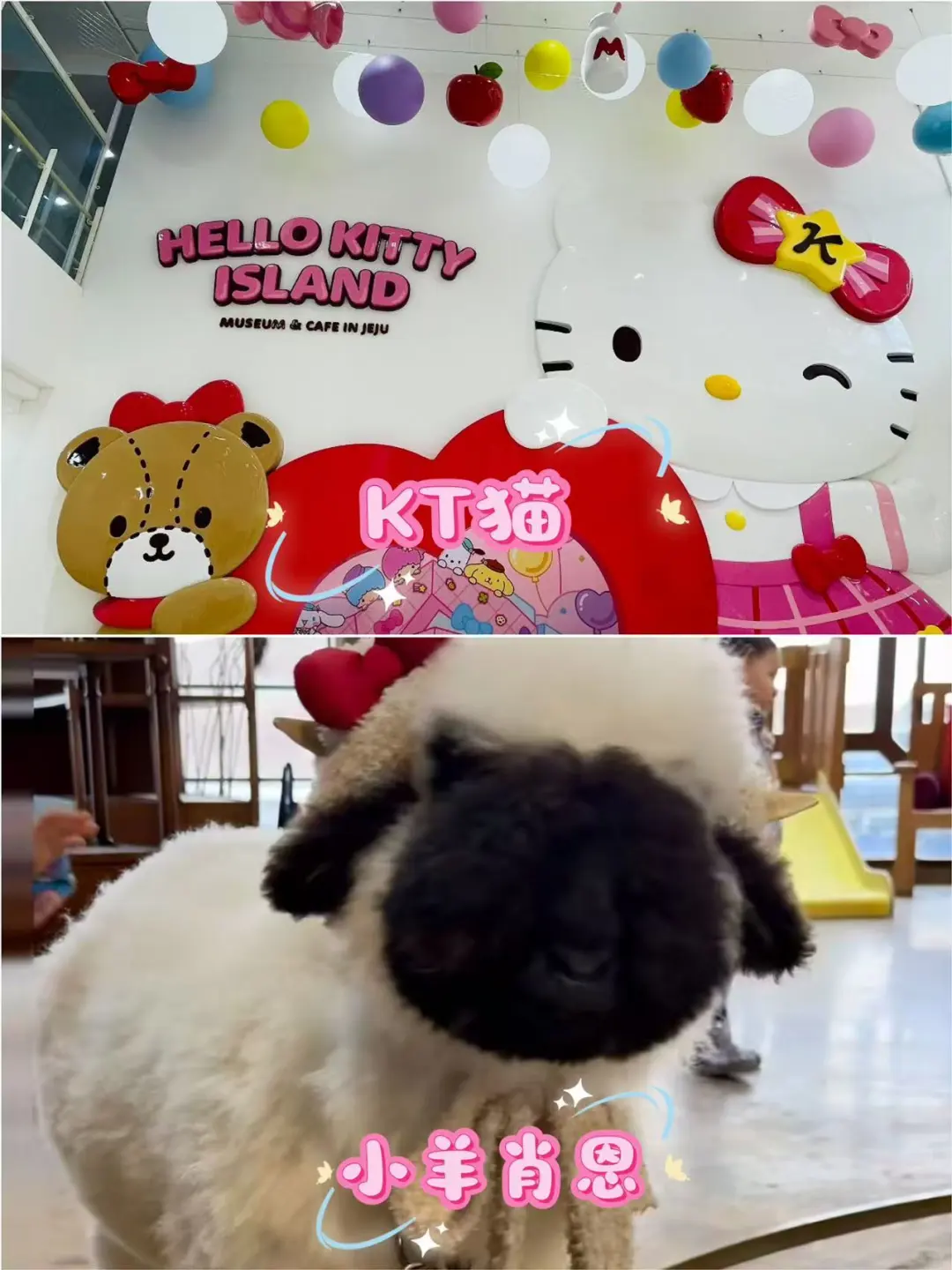 济州岛新西南线1日游|一天玩遍网红景点