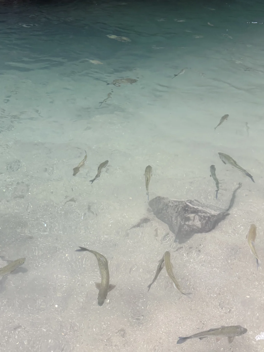 哥斯达黎加🇨🇷|最全旅游攻略(上)