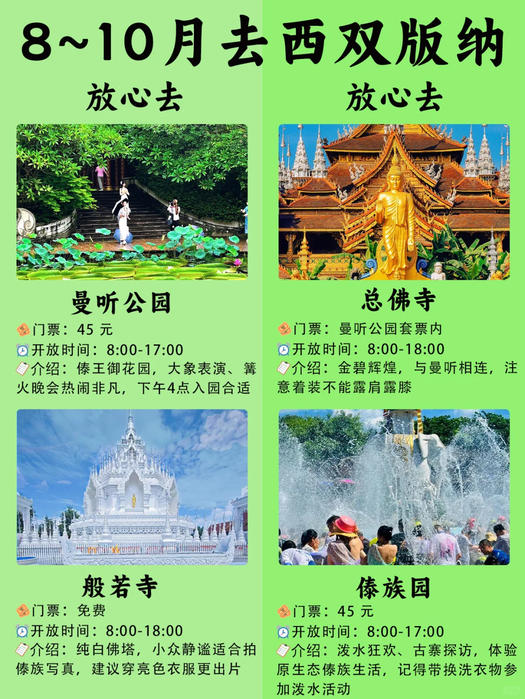 🌴8~10月版纳bi打卡景点🔥热带风情拉满