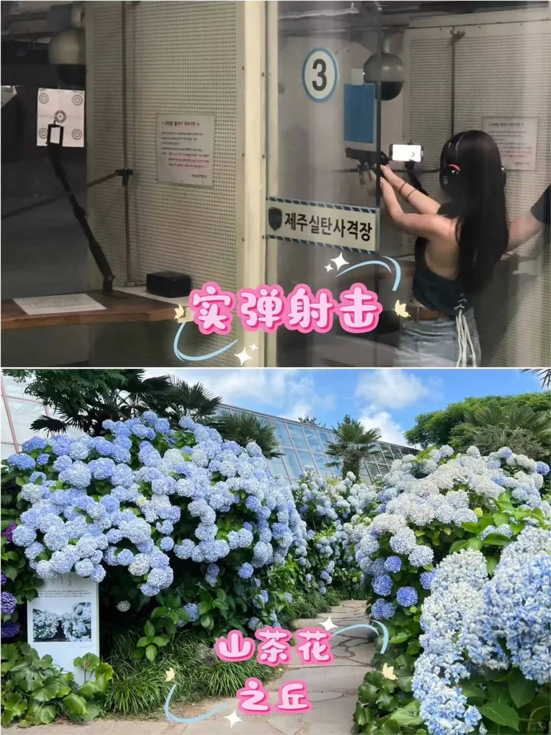 济州岛新西南线1日游|一天玩遍网红景点