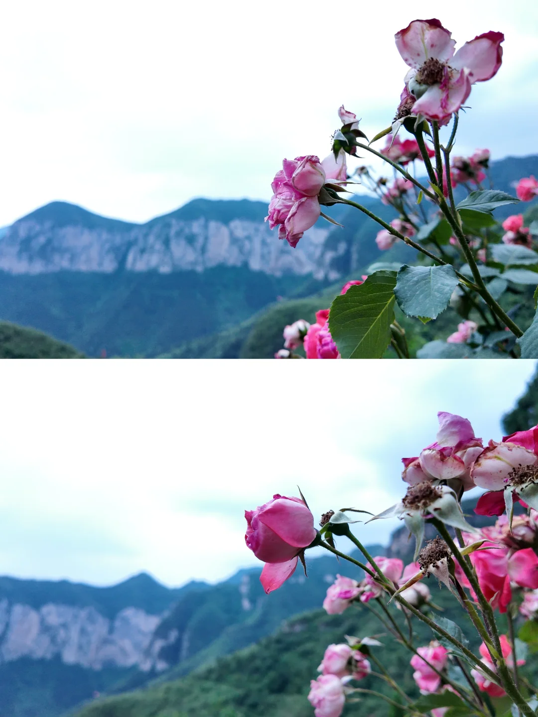 爬断腿也要看的涉县曲里千佛洞石窟