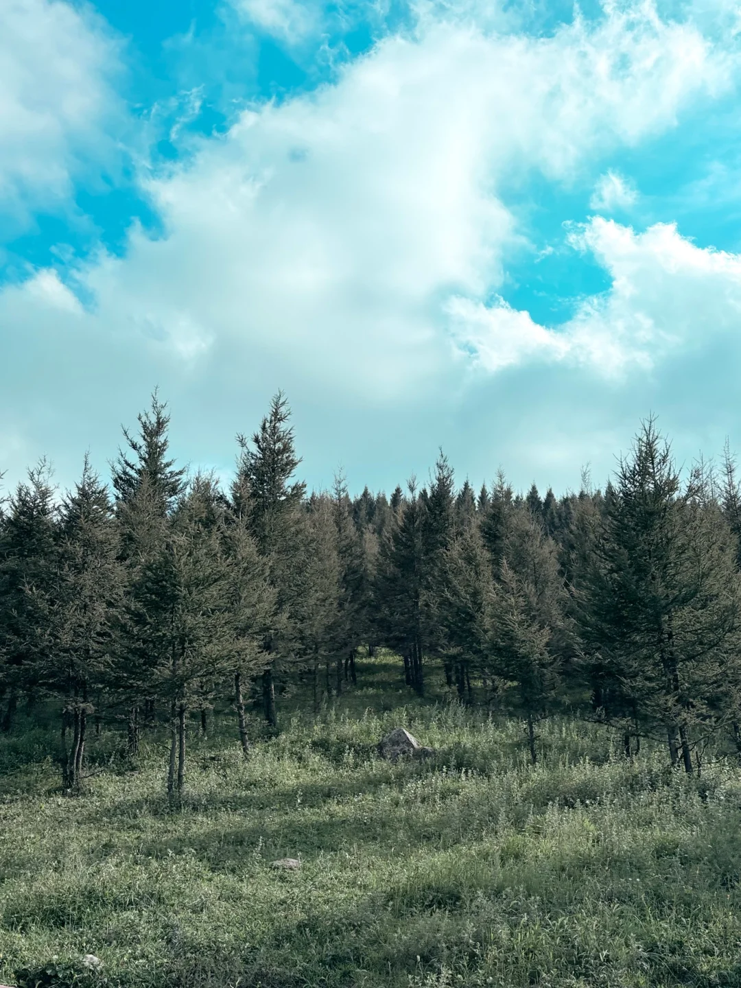 🥰河北阿勒泰|邯郸周边游|走马槽🚗