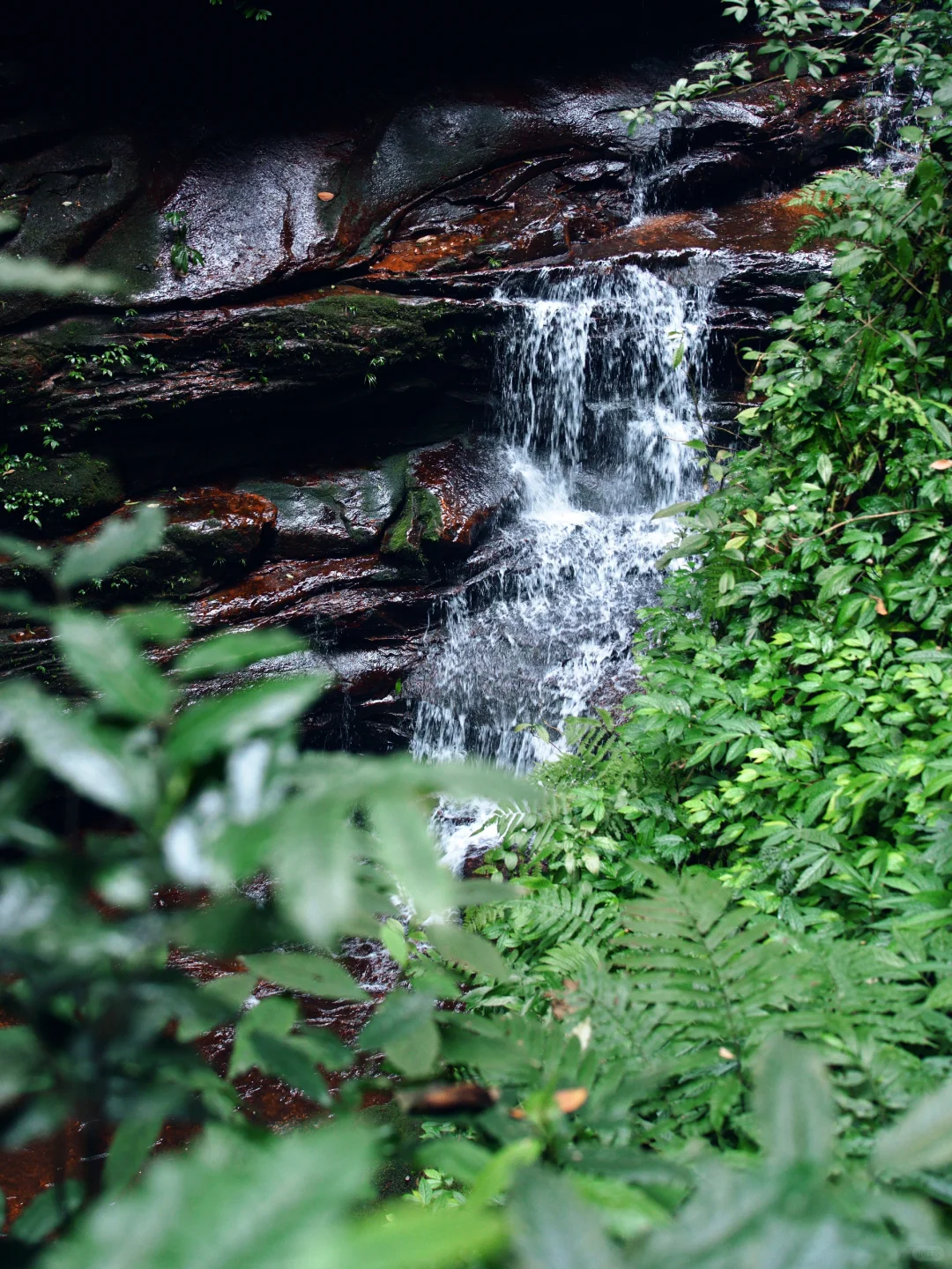 《国家地理》没骗我!真的是被低估的宝藏小城