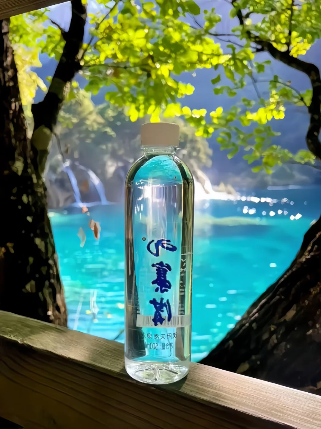 6.3📍九寨沟已回…一篇讲清楚九寨沟怎么避坑