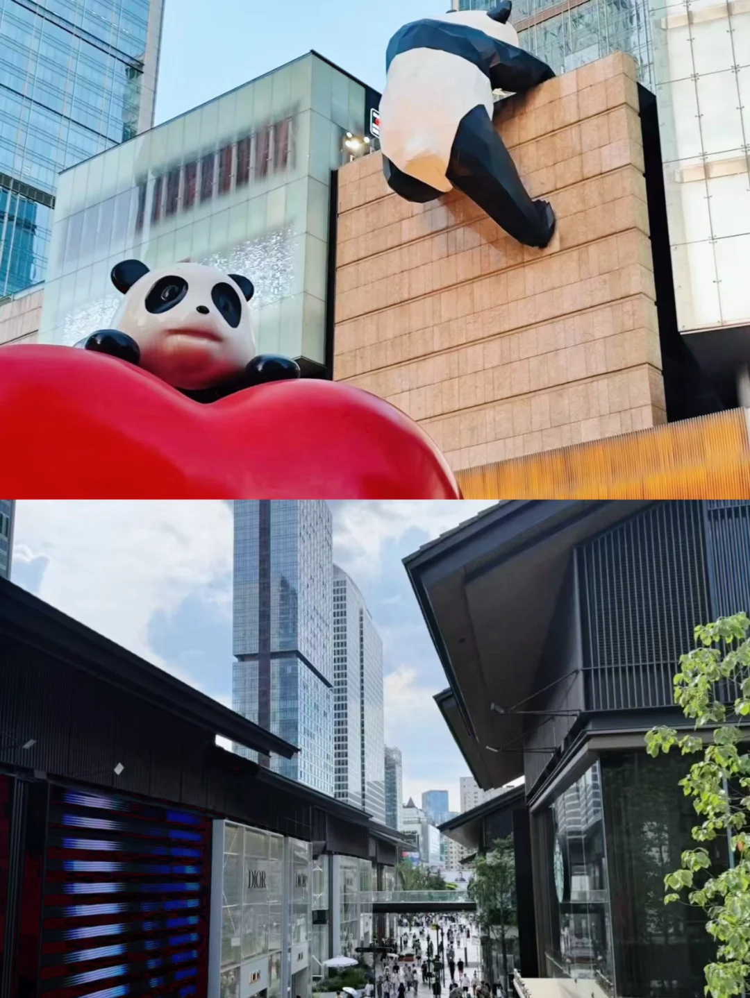 本地人私藏!成都景点+3家必吃美食清单