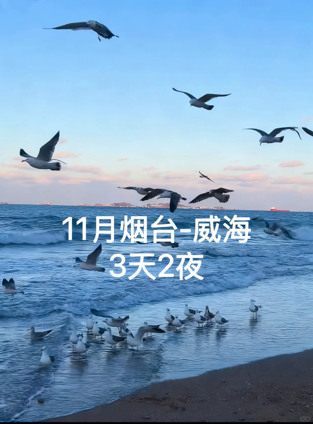 11月一定要去一次烟台!!!