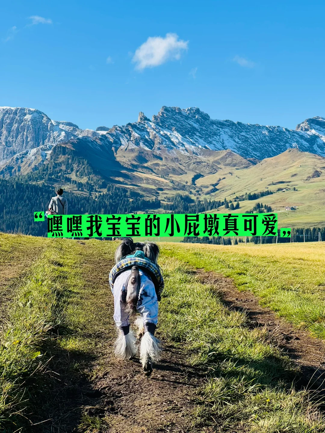 “意大利!小狗我从中国来旅游原来这么容易!”