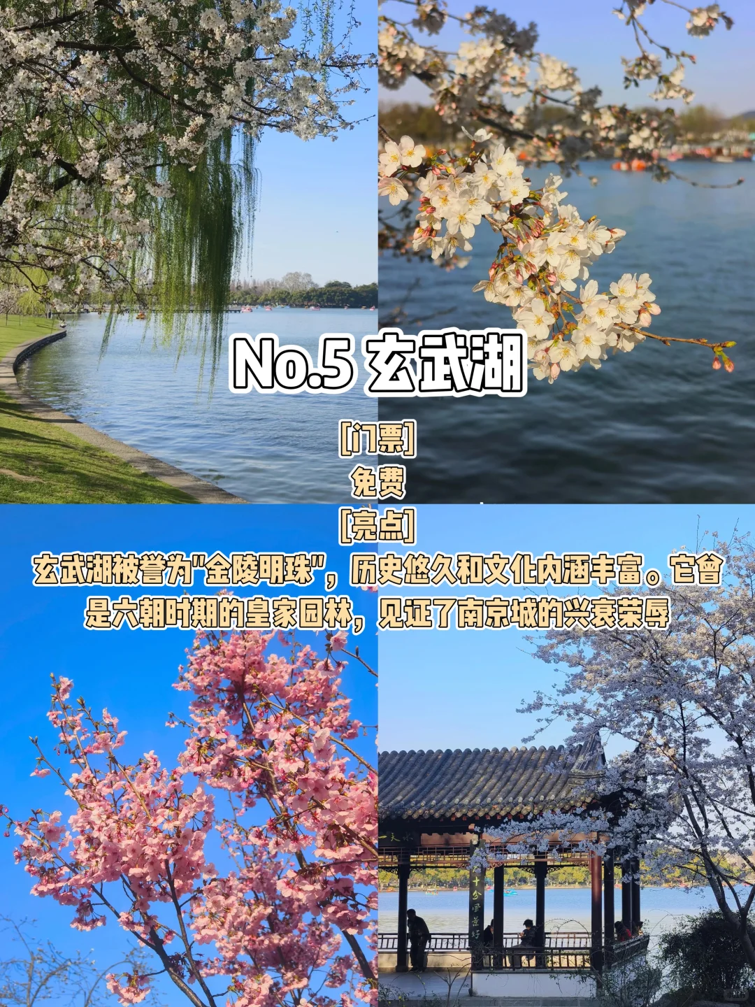 📍南京 | 金陵故都,六朝旧梦